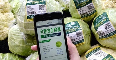 查询全链路信息非常简单
