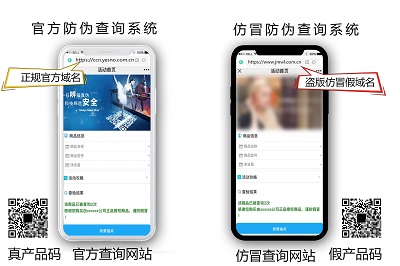 虚假页面往往在细节上经不起推敲