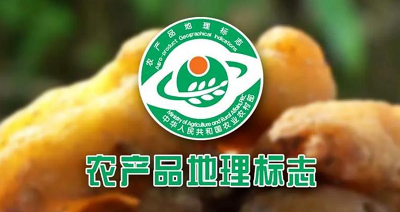 地理标志是表明产品来源于特定地域